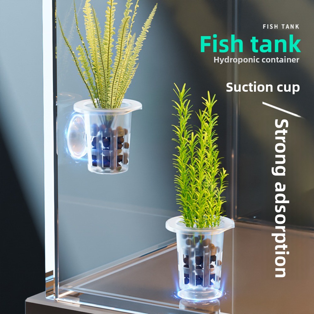 Aquarium Plant Holder - 10 Pezzi Vasi Idroponici Trasparenti in