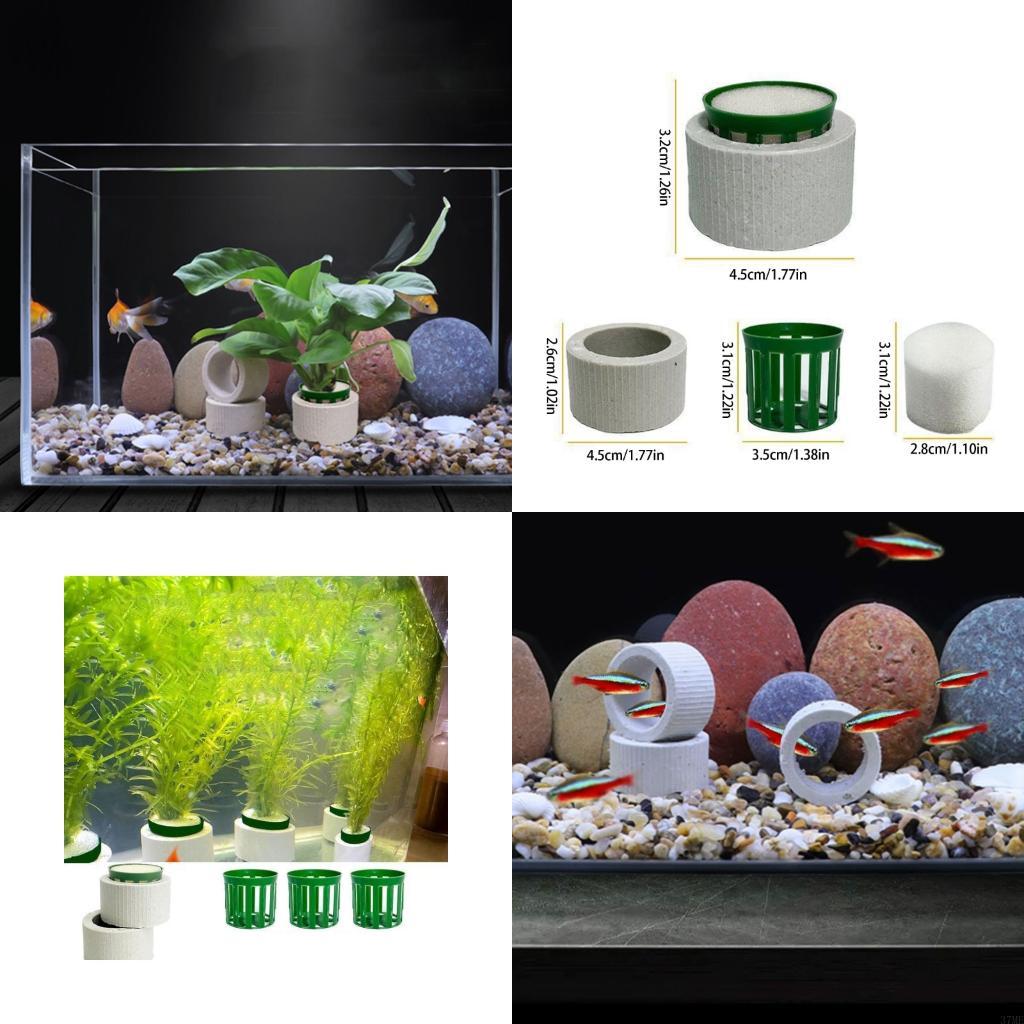 Aquarium Plant Holder - 37ME 10 pezzi Anelli fissi per