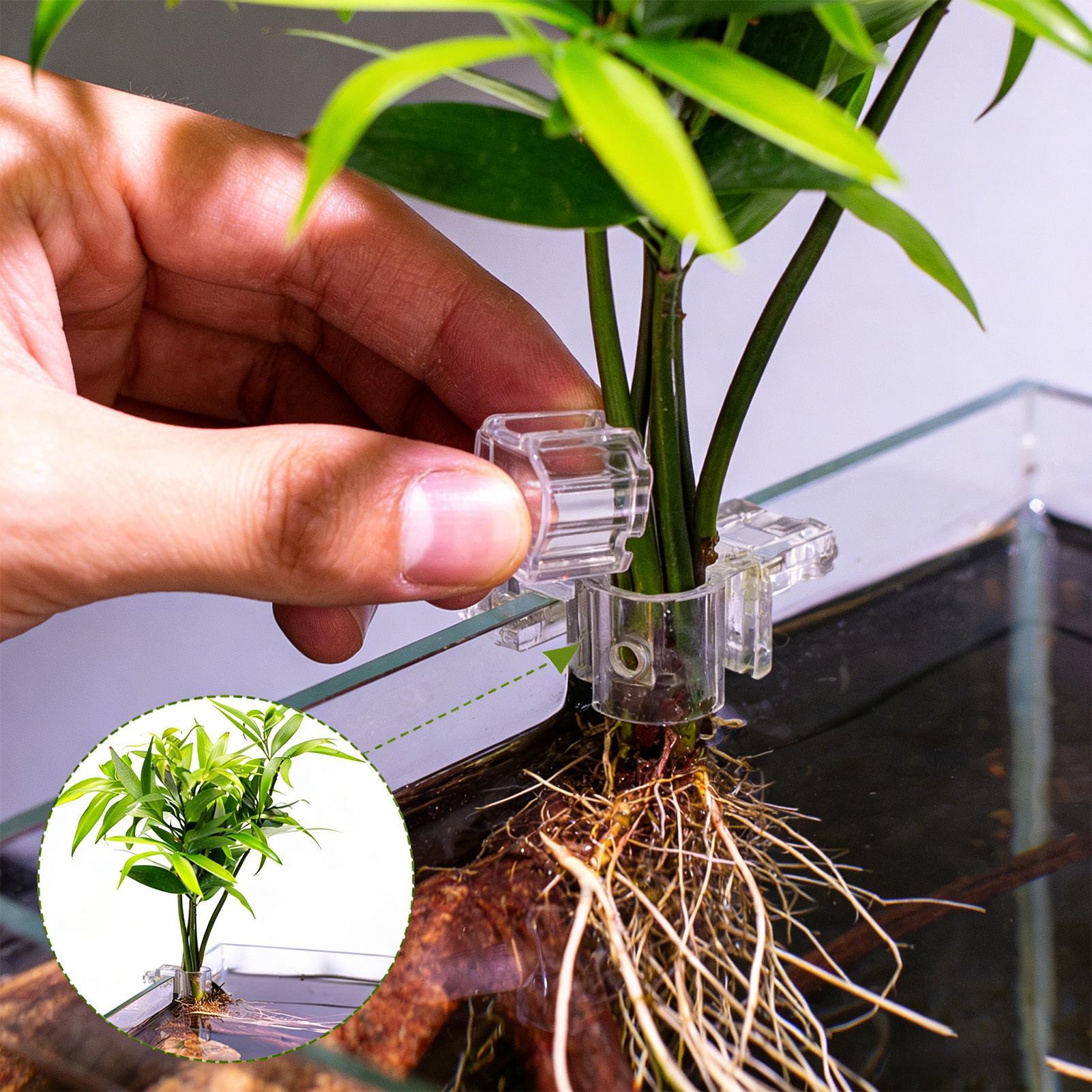 Aquarium Plant Holder - Set di 6 Supporti Trasparenti per