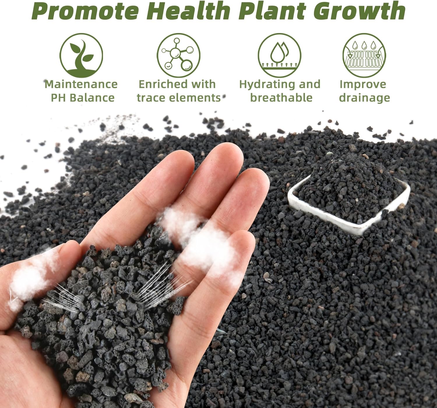 Plant Aquarium Pot - 3 libbre di materiale filtrante nero