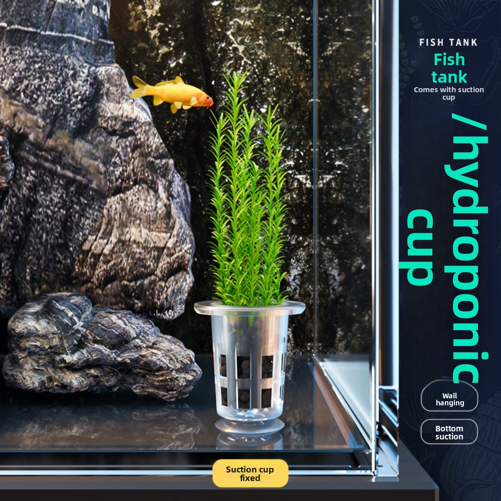 10 Pezzi Vasi Idroponici Trasp - Aquarium Plant Holder recensione e prezzo