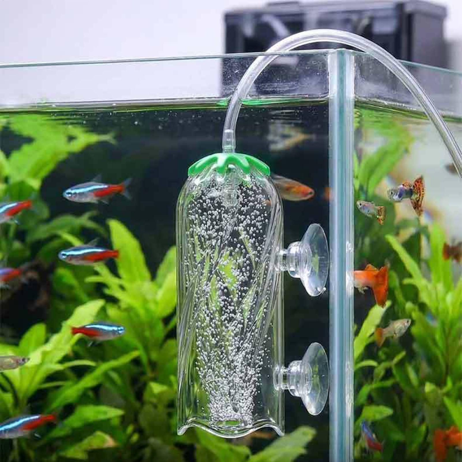 Diffusore di ossigeno per acqu - Aquarium Planted Tank Filter recensione e prezzo