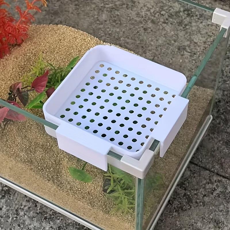 Nuovo Diffusore per il Cambio  - Aquarium Plant Holder recensione e prezzo