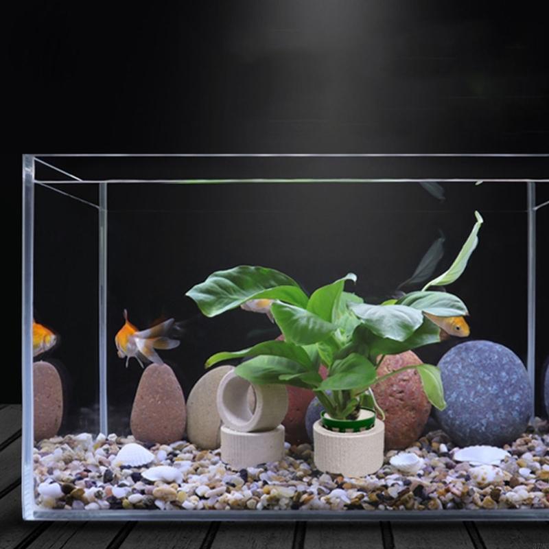 37ME 10 pezzi Anelli fissi per - Aquarium Plant Holder recensione e prezzo