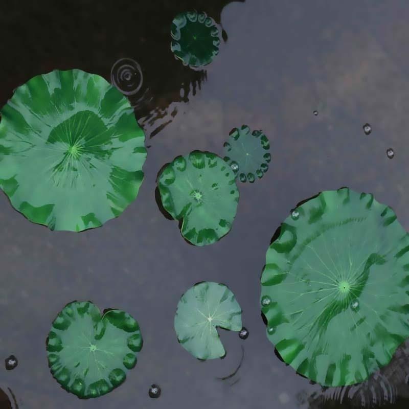 Foglie di Loto Artificiali Sen - Aquarium Plant Substrate recensione e prezzo