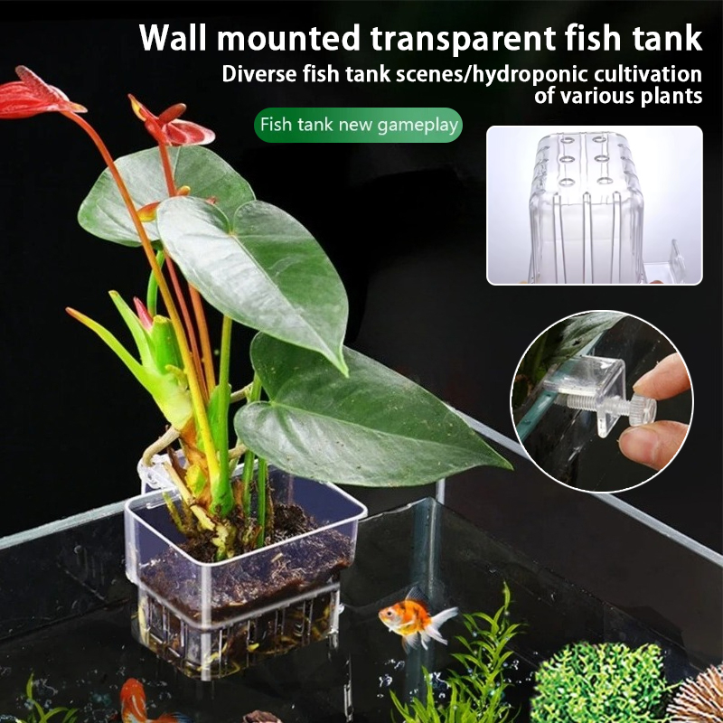Vasi pensili per acquario, sup - Aquarium Plant Holder recensione e prezzo