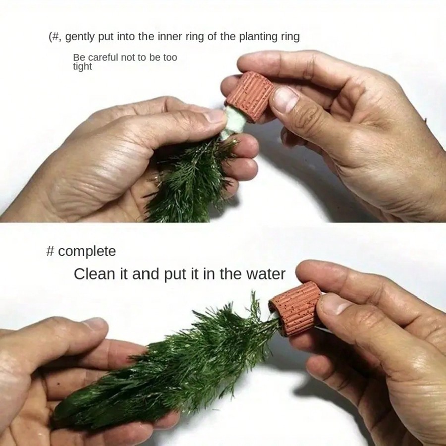 Anelli di fissaggio per piante - Aquarium Plants Live recensione e prezzo