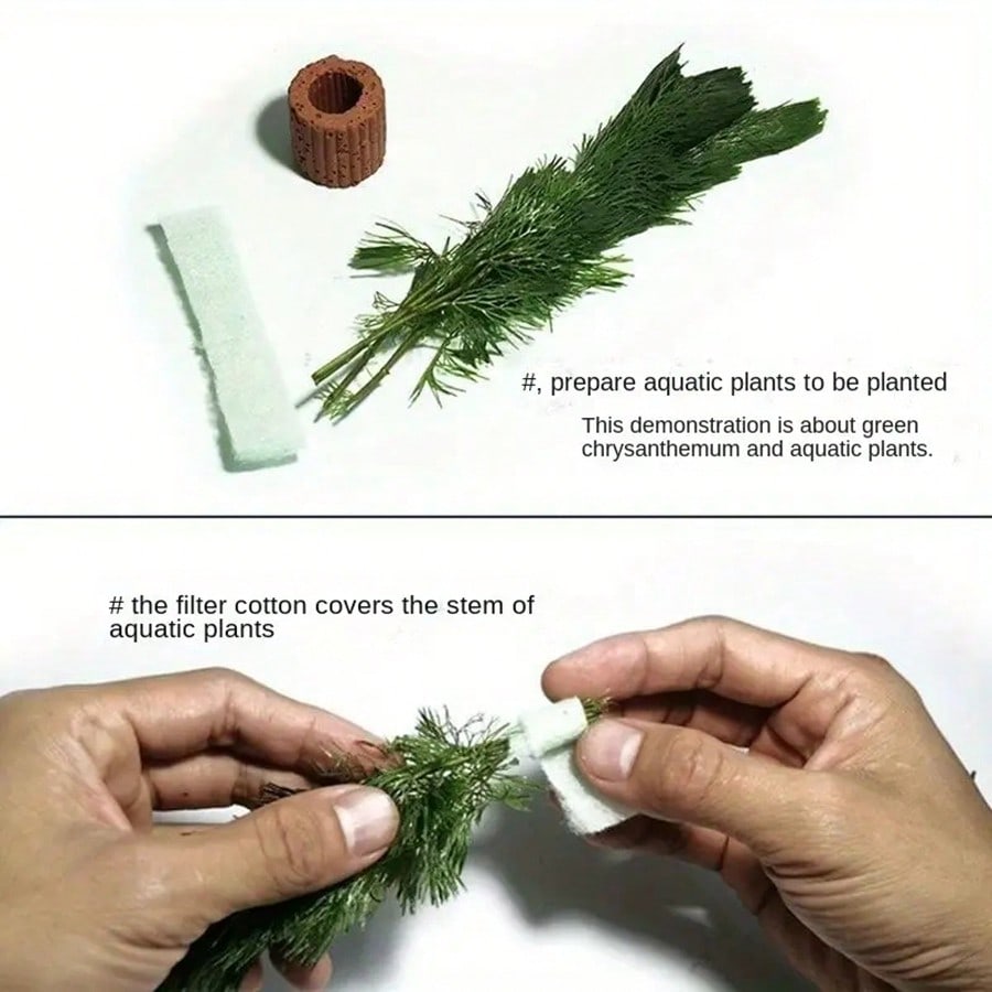 Anelli di fissaggio per piante - Aquarium Plants Live recensione e prezzo