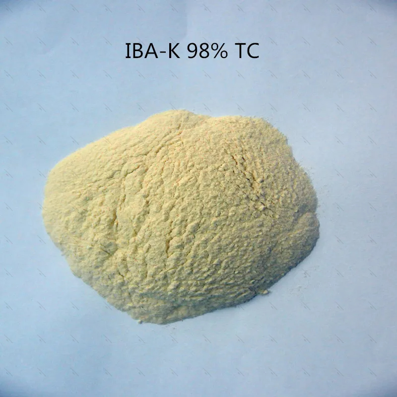 10Gram-1KG 98% IBA-K IBA solub - Aquarium Fertilizer recensione e prezzo
