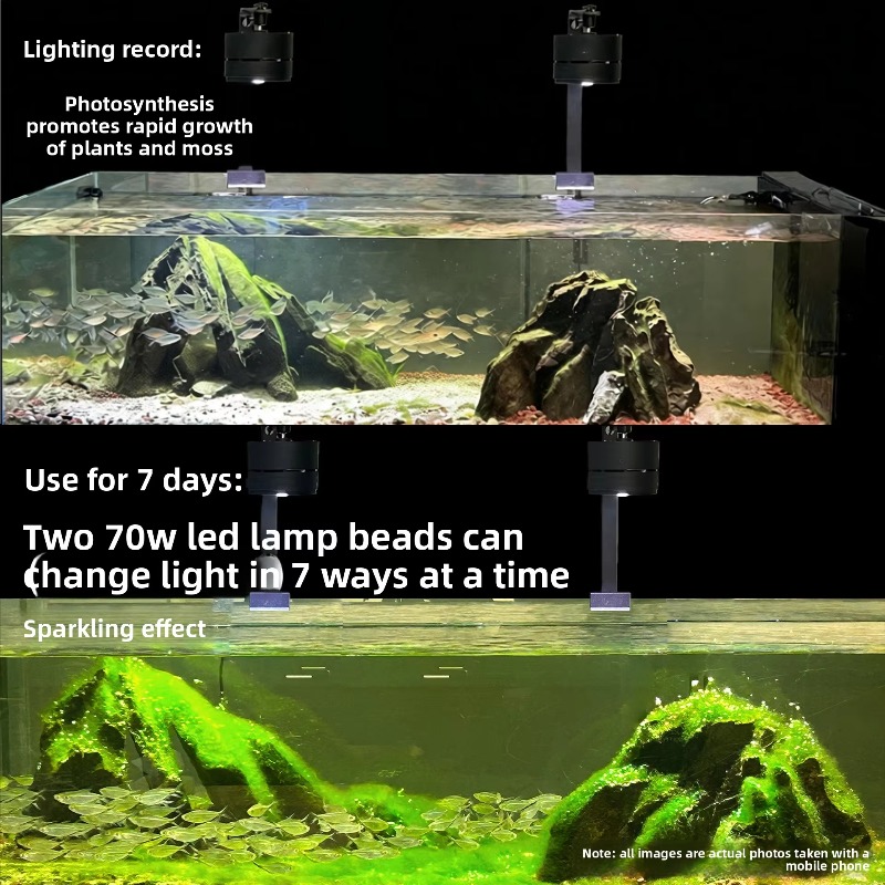Luce LED per Acquario a Spettr - Aquarium Moss recensione e prezzo