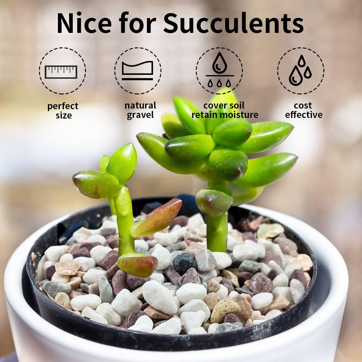 Pietre decorative in ghiaia di - Plant Aquarium Pot recensione e prezzo