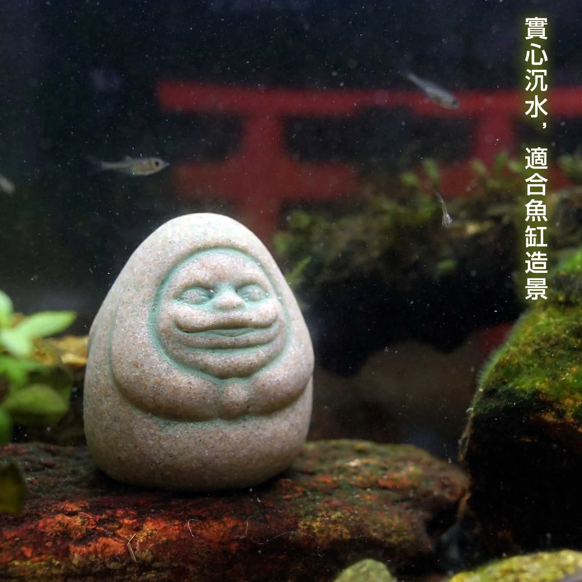 Kaminishi Hide Dharma Pezzi di - Aquarium Moss recensione e prezzo