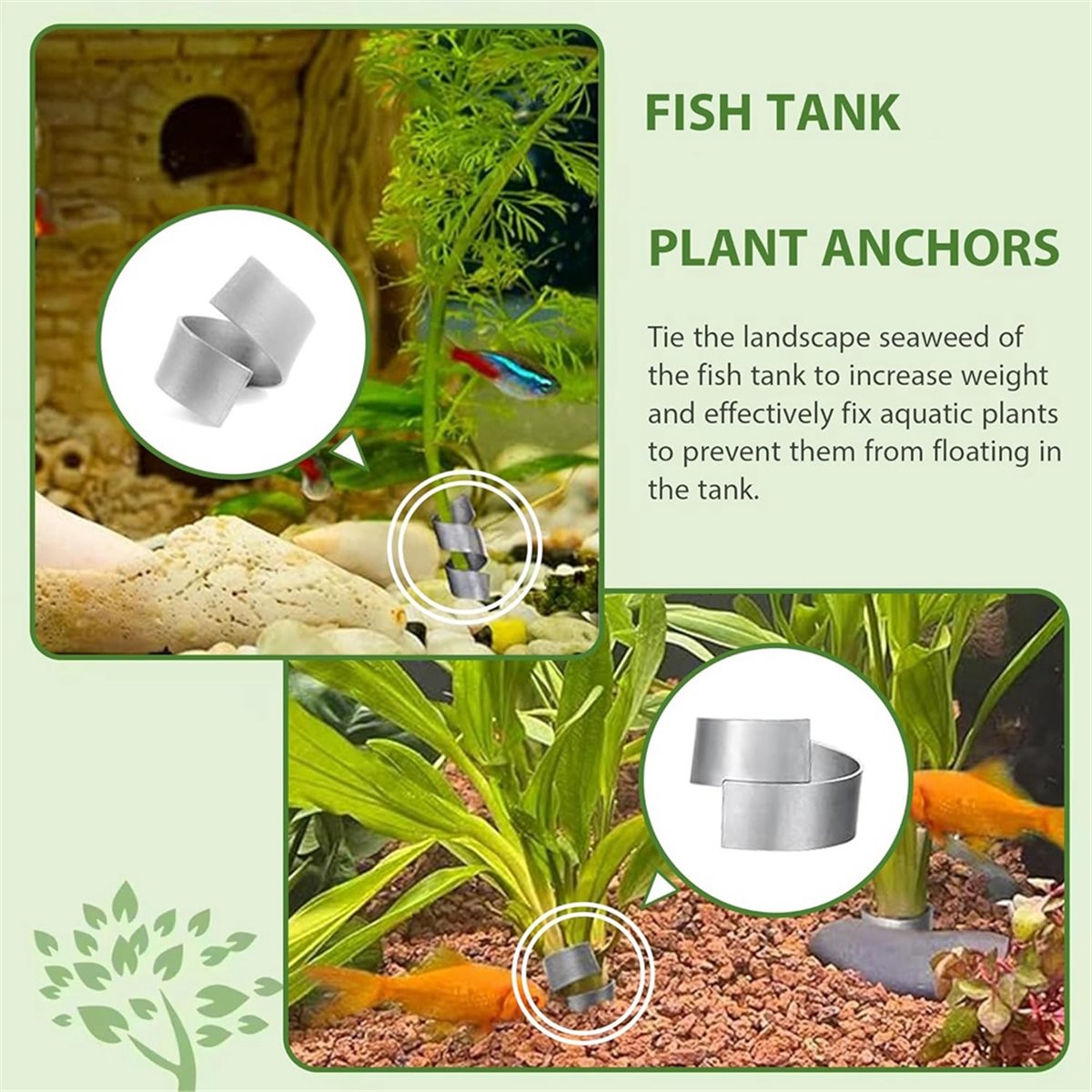 Pesi per Piante d'Acquario Sal - Live Plant Aquarium recensione e prezzo