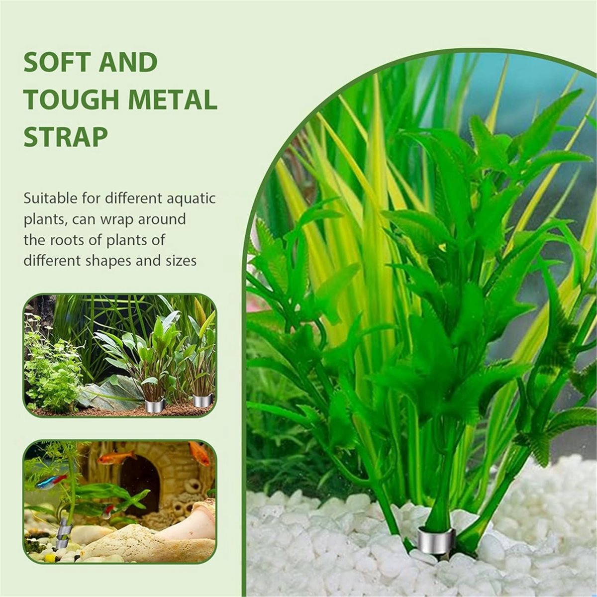 Pesi per Piante d'Acquario Sal - Live Plant Aquarium recensione e prezzo