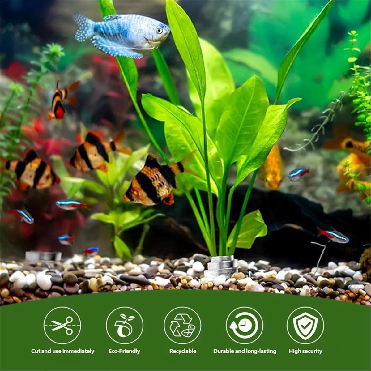 Pesi per Piante d'Acquario Sal - Live Plant Aquarium recensione e prezzo