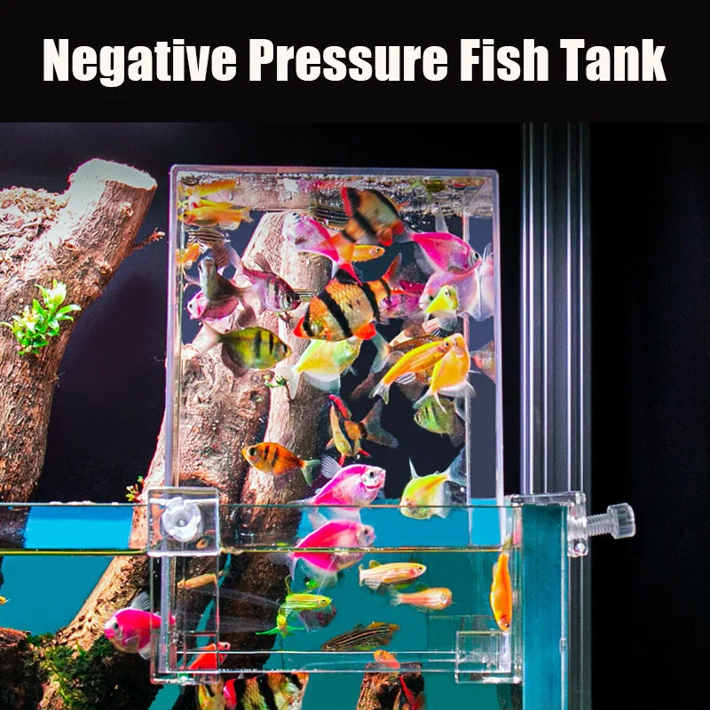 Serbatoi per acquari creativi  - Plant Aquarium Pot recensione e prezzo