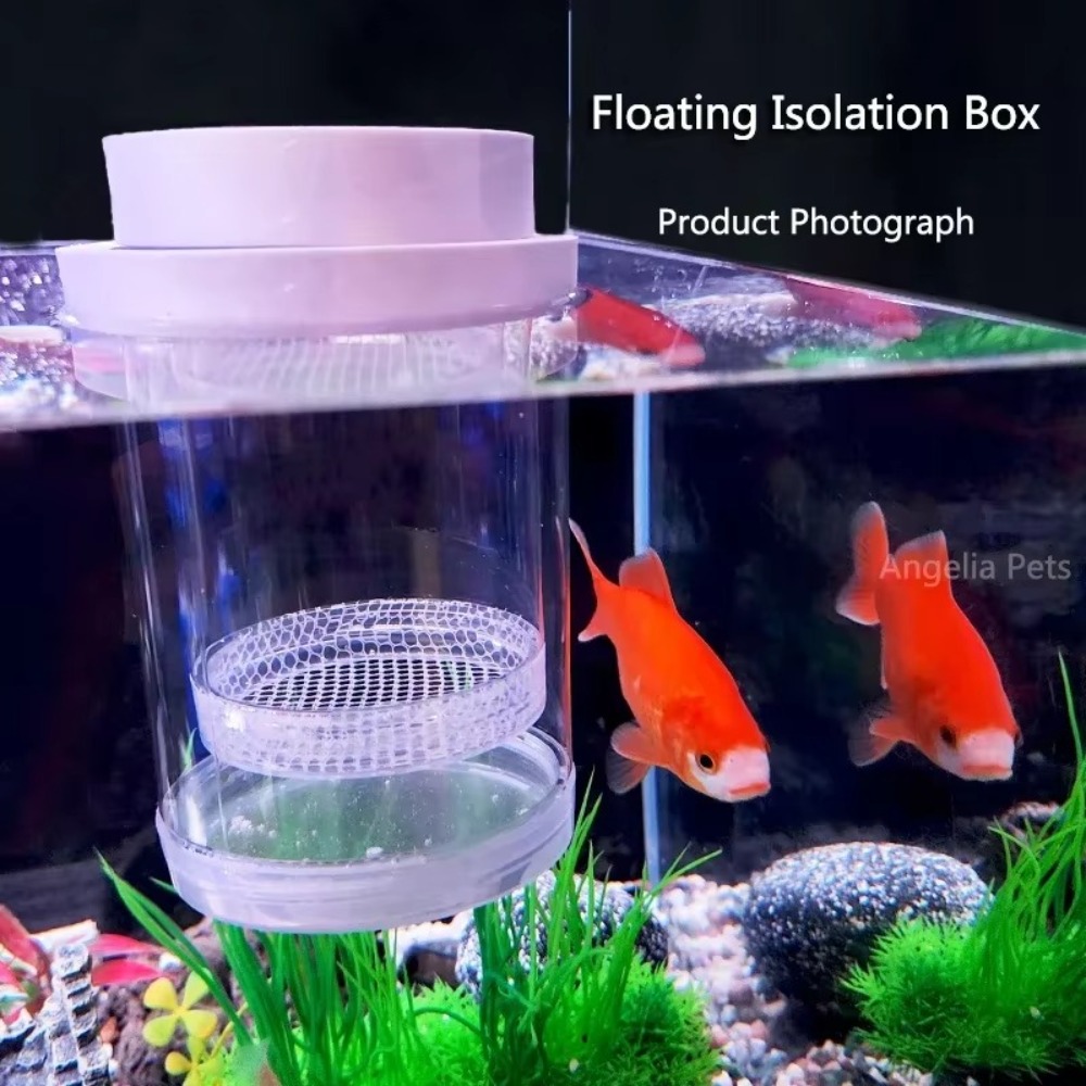 Scatola di isolamento per alle - Aquarium Fertilizer recensione e prezzo