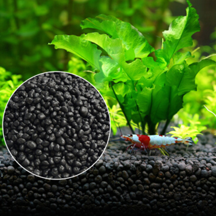 Acquario semi di piante terren - Aquarium Fertilizer recensione e prezzo