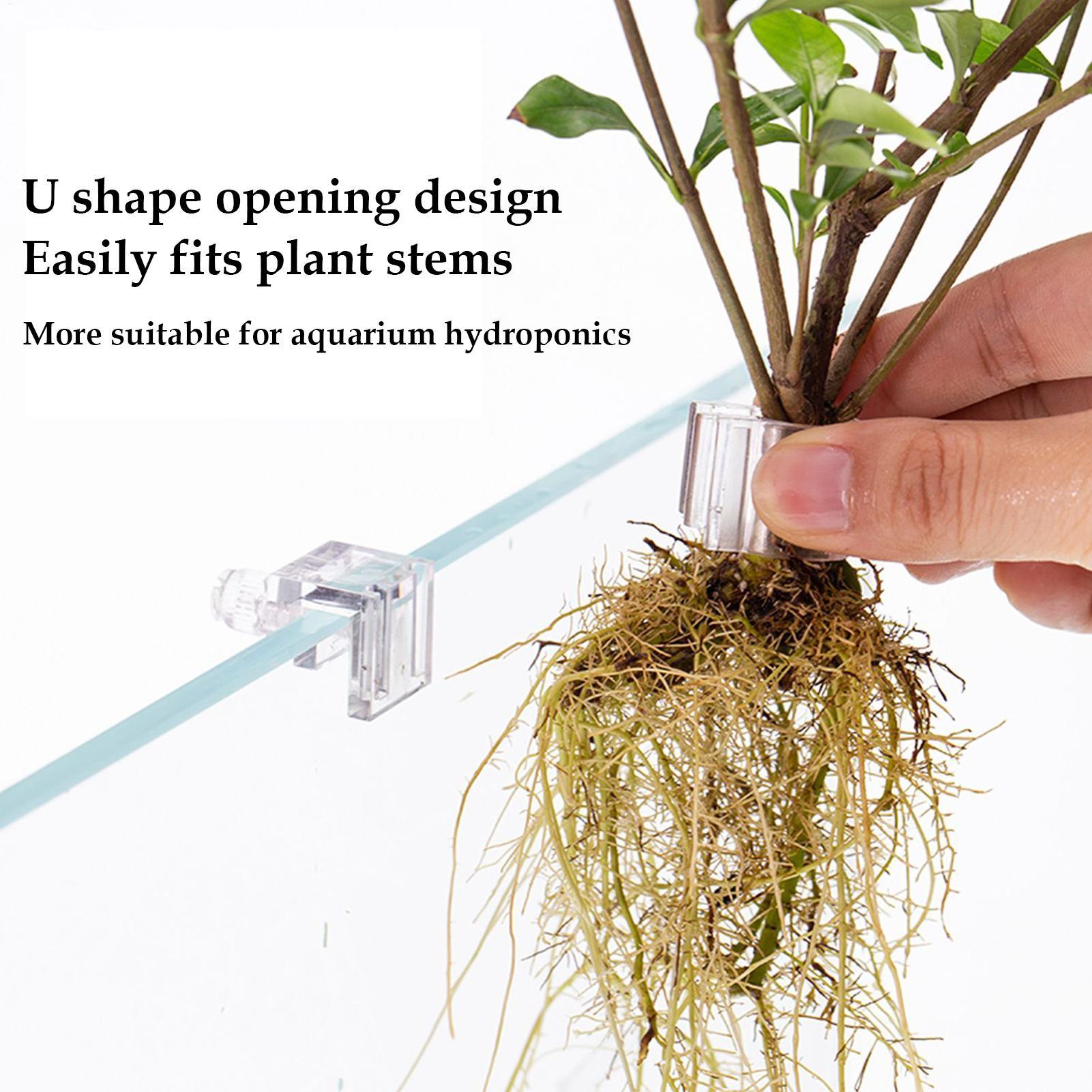 Mini Vaso per Piante da Acquar - Aquarium Fertilizer recensione e prezzo