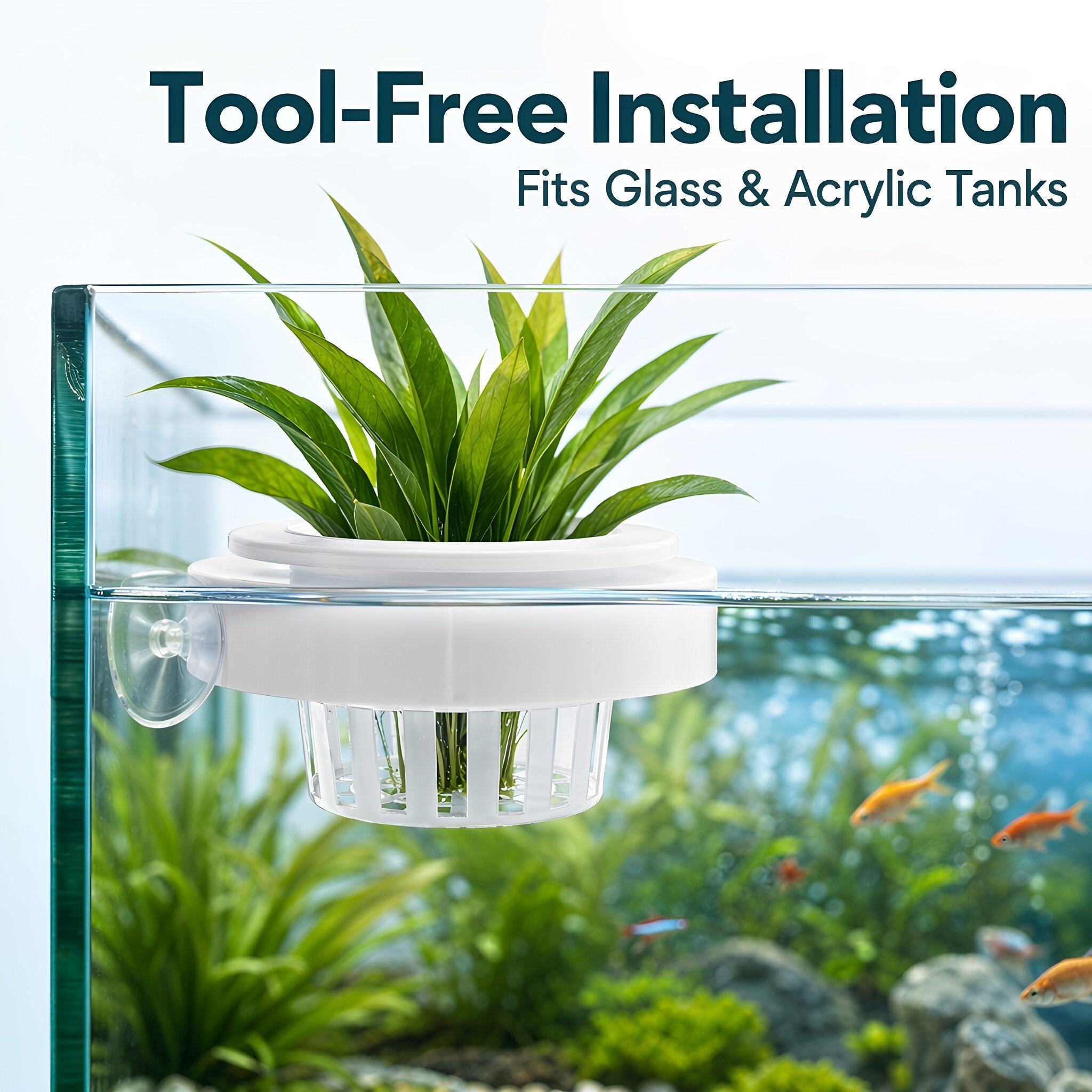4 cestini galleggianti in plas - Planted Tank recensione e prezzo
