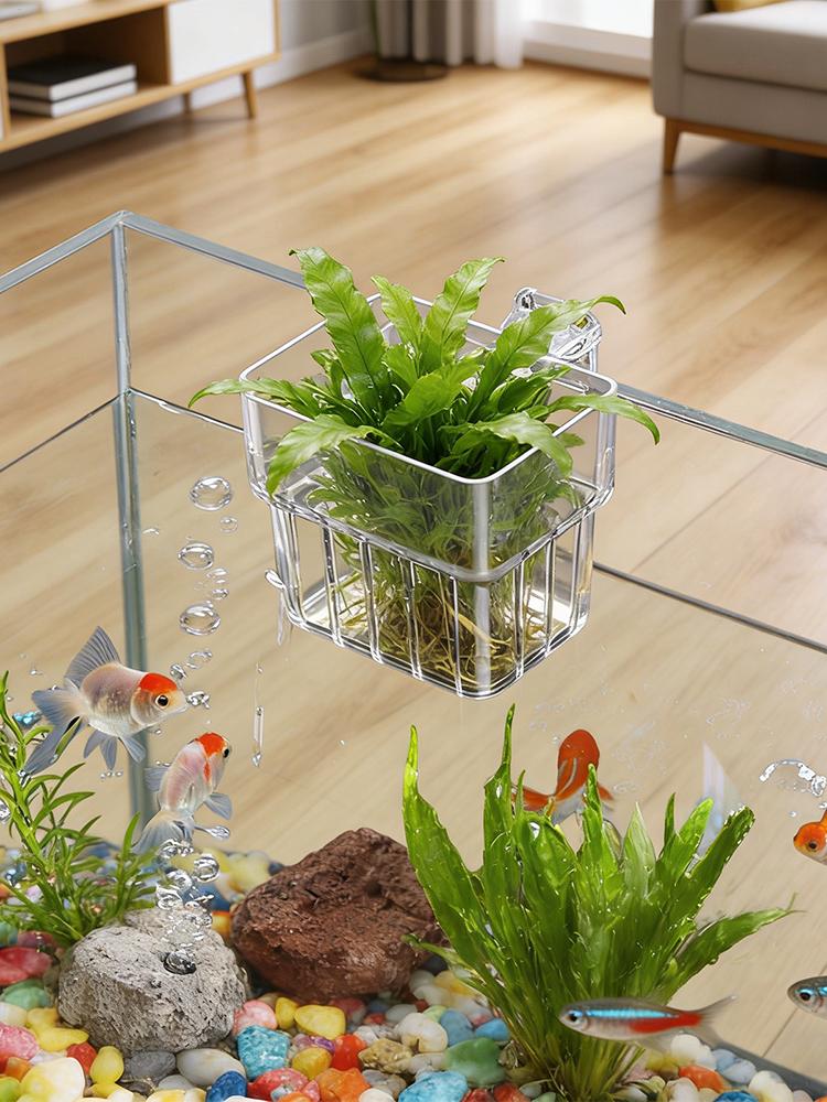 Supporto per piante acquatiche - Aquarium Plant Holder recensione e prezzo
