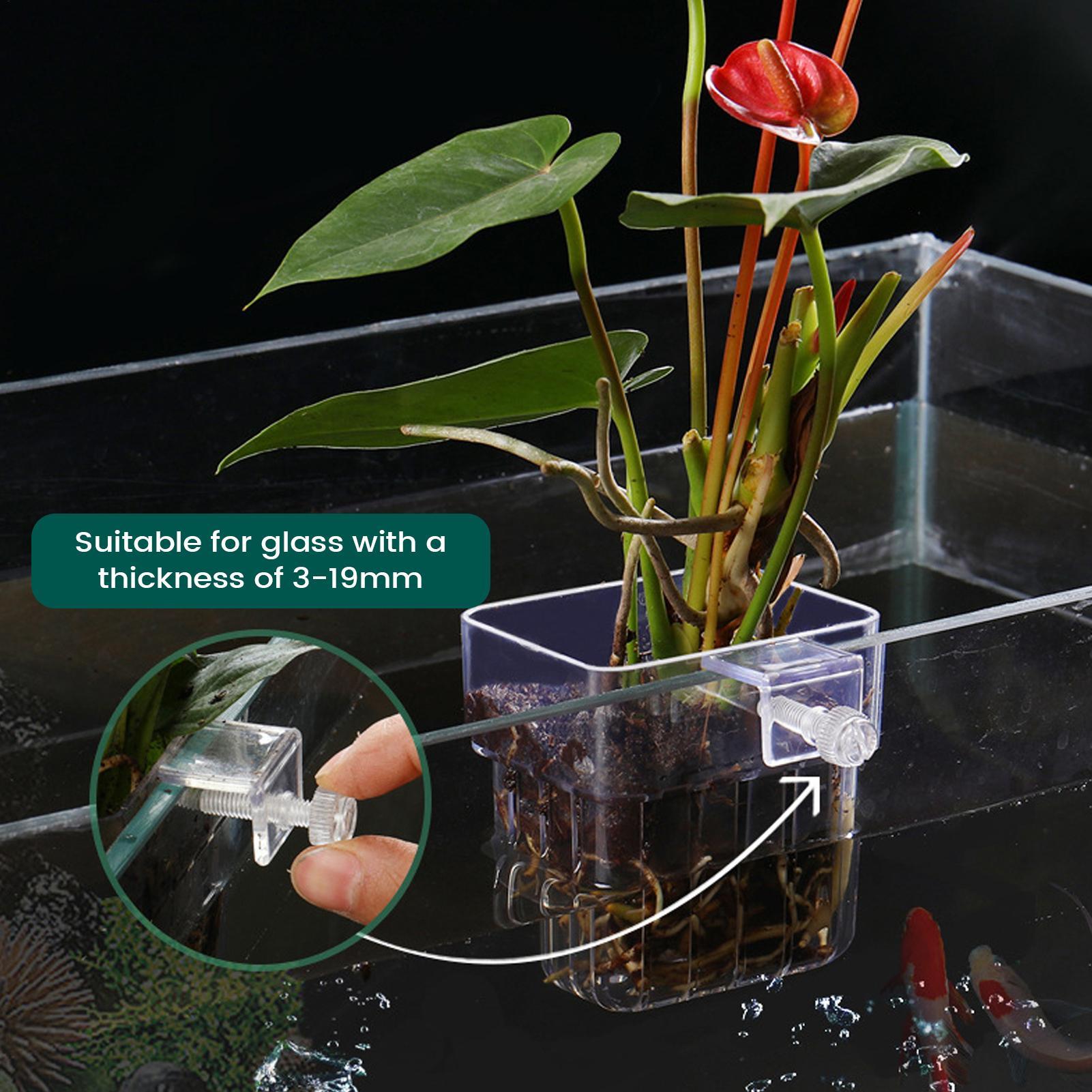 Supporto per piante acquatiche - Aquarium Plant Holder recensione e prezzo