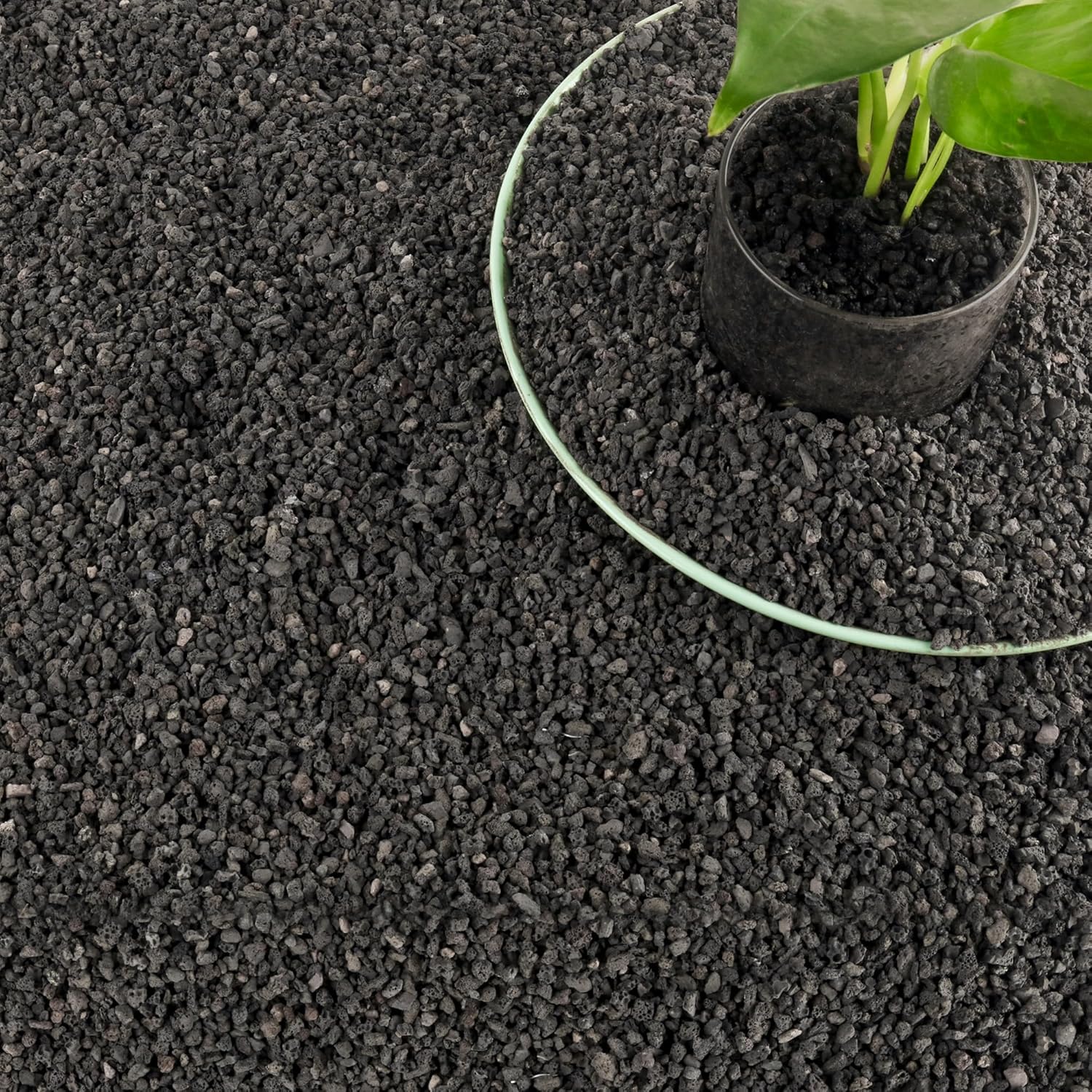 3 libbre di materiale filtrant - Plant Aquarium Pot recensione e prezzo