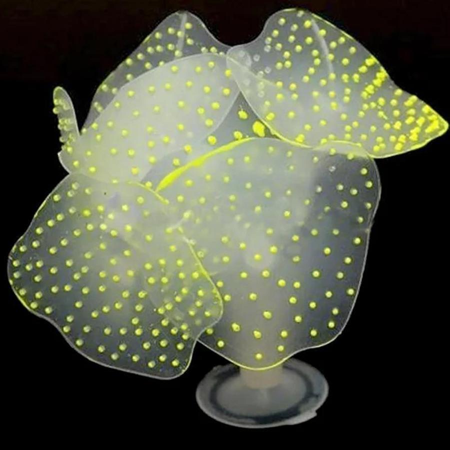 Ornamento colorato a forma di  - Aquarium Plant Substrate recensione e prezzo