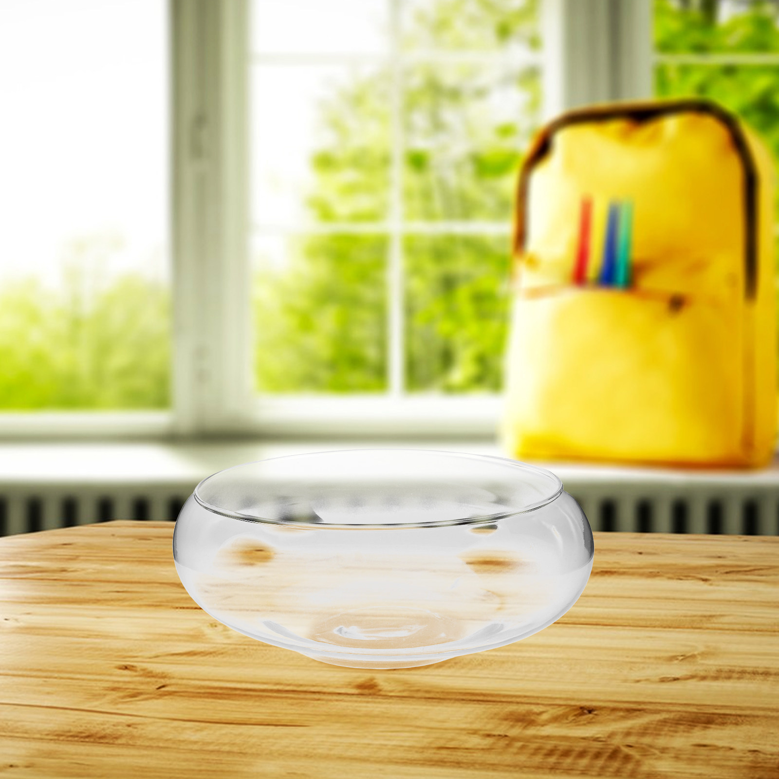 Vaso in vetro per piante idrop - Planted Tank recensione e prezzo