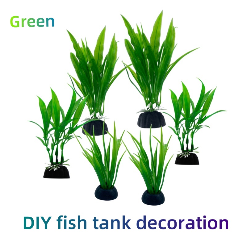 Confezione da 6 pezzi di piant - Live Plant Aquarium recensione e prezzo