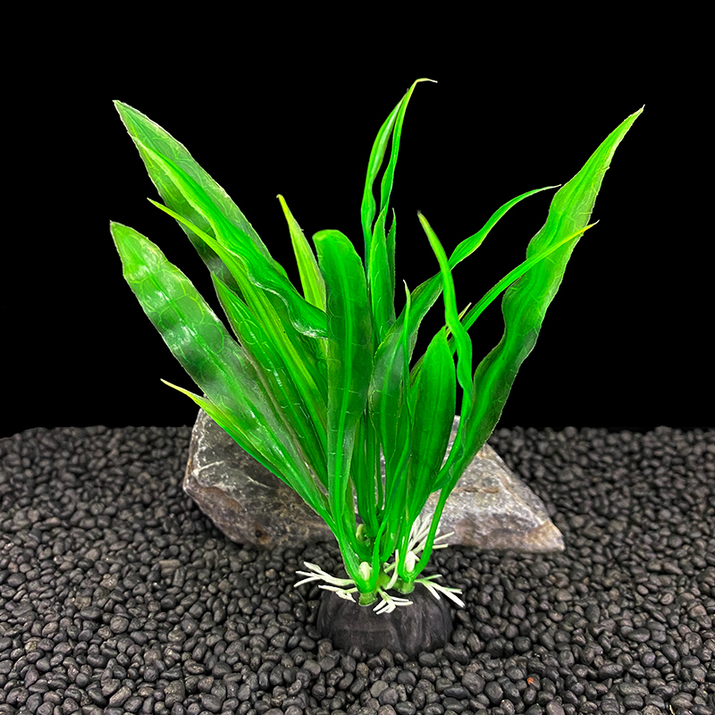 Confezione da 6 pezzi di piant - Live Plant Aquarium recensione e prezzo
